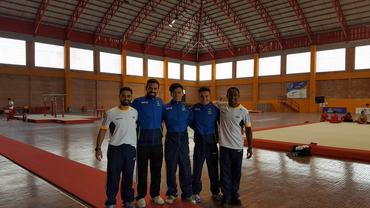 Seleção Adulta de Ginástica Artística Masculina