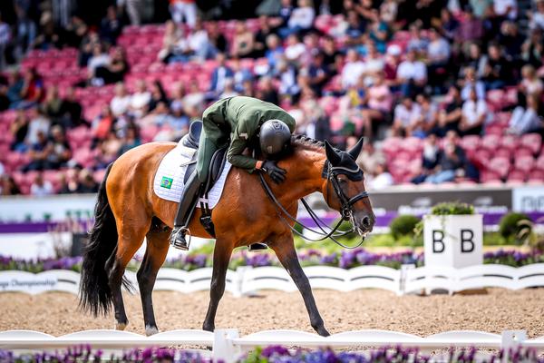 João e Escorial Horsecampline em momento de carinho